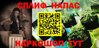 мяу мяу мука Обнинск