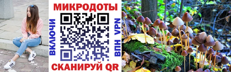 сколько стоит  Павлово  кракен вход  Галлюциногенные грибы ЛСД 
