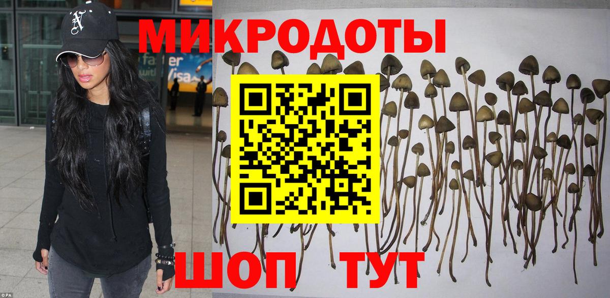 Галлюциногенные грибы Psilocybine cubensis Павлово