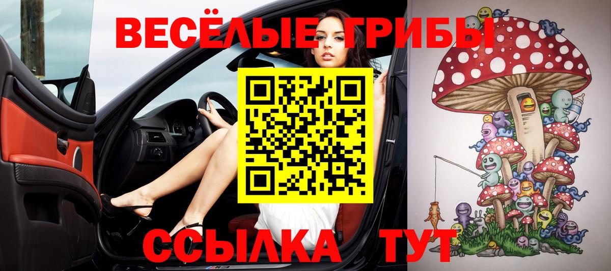 как найти наркотики  Галлюциногенные грибы мухоморы  Павлово  Вход с VPN  Галлюциногенные грибы GOLDEN TEACHER 