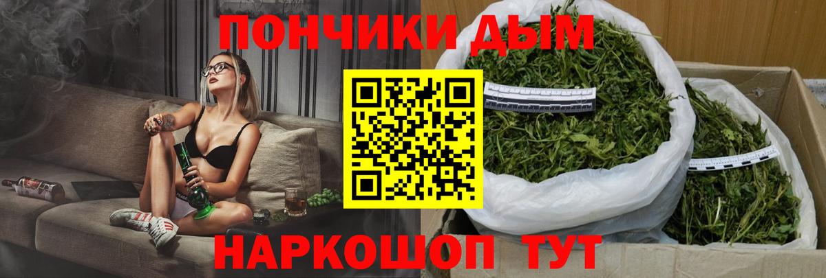 Бошки Шишки Amnesia Павлово