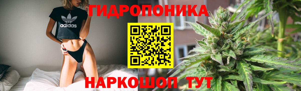 Конопля VHQ  Вход с VPN  Павлово  Бошки Шишки сатива  Бошки марихуана гибрид 